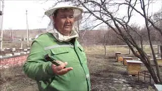 Один день наших забот.