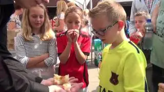 familiedagen FC Rijnvogels 2016