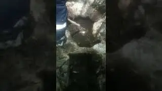 замор рыбы в ручьях, загар рыбы