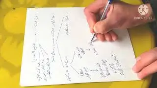 شبكات حاسوبية للمبتدئين الجلسة 4 الشبكات حسب وسائط النقل  #computer_networks