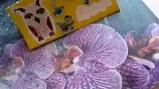 Мой рабочий стол ( 1 часть )