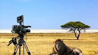 Секрет фильма.Как снимали Король Лев 2019.The Lion King 2019