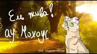 ау: Синегривка оставила котят 3 часть / коты-воители