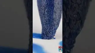Así Funciona -vistos de cerca