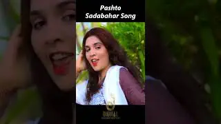 Janan Me Talay De | Kishwar Sultan | Pashto Sadabahar Song