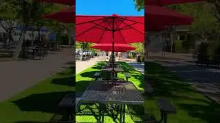 Taste of Lincoln 2024 #iamchefalvarez #food #bbq #youtubeshorts