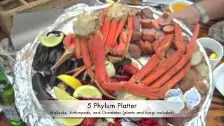 Harvey's Crab Shack Commercial