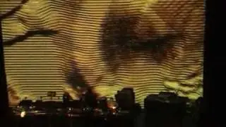 The Kitty-Yo Documentary