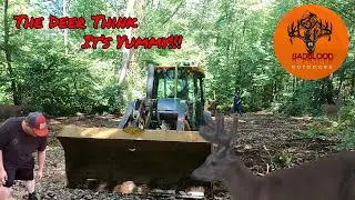 Clearing and Planting Our First Ever Food Plot