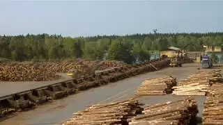 Merikarvia - Kummallisen kodikas, Juha Pynnönen