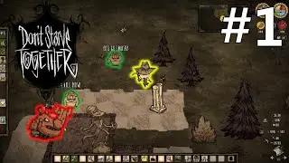 BIORĘ ŚWINIE I IDE BIĆ ROBOTA Don't Starve #1