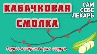 Кабачки - Полезные Свойства, О Которых Вы Могли Не Знать