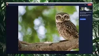 Part 1 - How to Cut The Photo Objects in PhotoVibrance for 3D Parallax Motion Photo? Tutorial
