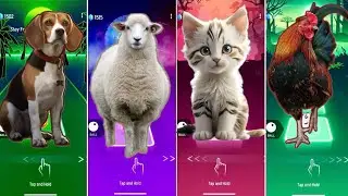 🐕 The Dog vs The Sheep vs The Cat vs The Chick  | Tiles Hop edm Rush| Coffin Dance 🪩
