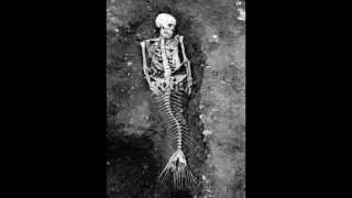 Real Mermaid Found - Real Proof