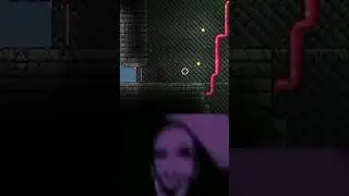 утроба террария... #террария #terraria #shorts #рекомендации