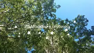 Переехали с детьми✈️Из Москвы в  глубинку🌲🌳🌲Новая жизнь🌈 🏡