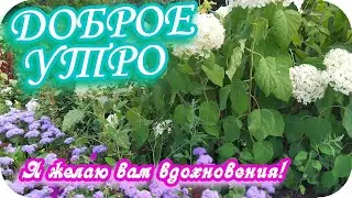 Доброе утро! 🌸Я желаю вам вдохновения! 🌸Замечательное пожелание🌸Желаю удачи!🌸