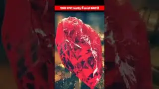 पारस पत्थर reality मैं exist करता है !💎 #shorts #youtubeshorts #facts