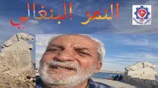 @ شط القناة ببورتوفيق  لك ولأسرتك الطبيعة  وشمس الشتاء وريحة البحر.يستحق الزيارة للأستجمام.