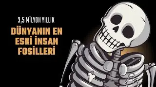 Stekfontain Mağaraları: İnsanlığın Doğduğu Yer