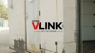 VLINK® Tunnel Traps | Getting Started