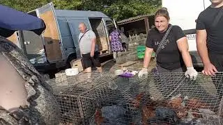 Хозяйственный рынок села Выгода и наши покупки.