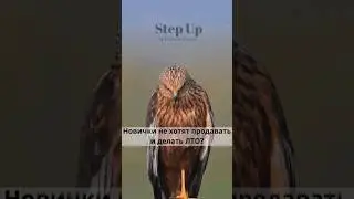 Инфа в комментах #shortsvideo #shortvideo #shortsyoutube #shorts #short #лто #новичок #входящие