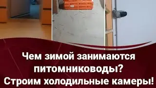Что же делают зимой питомниководы в Питомнике Росток?