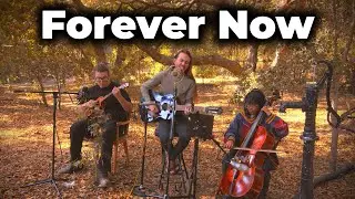 Forever Now - The Avett Brothers (Earth Tones Cover)