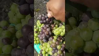MWANTAB...‼️ PANEN ANGGUR LIAR ‼️ #fruits #satisfiying #short #shorts