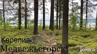 Карелия, Медвежьегорск, Онега! (1 часть влога)