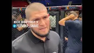 про попмма хабиб нурмагамедов