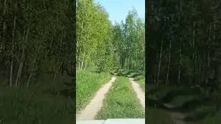 Вы шумите, шумите