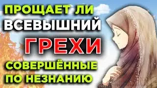 Прощает ли Всевышний грехи, совершенные по незнанию