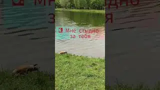 НИКОГДА НЕ ГОВОРИТЕ ЭТО СВОИМ ДЕТЯМ! #психологияотношений #воспитаниедетей #любовькдетям