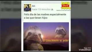 Frases raras de Facebook, frases de facebook memes de embarradas solo aquí en MEMES MUNDO