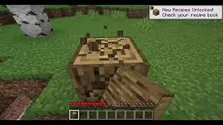 (CLOSED) Join My 1.16.5 Cracked SMP (IP in the description)