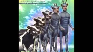 All Animorphs Books