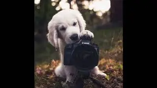 Новый проект