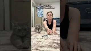 Learning how to relax from my cat😍 author: slozhnaya_olya