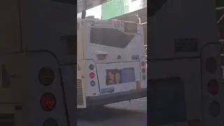 Orion VII NG 