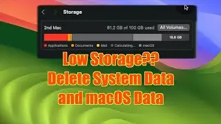 How to Free up System Data and fix low storage Errors