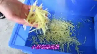 ginger slicing machine