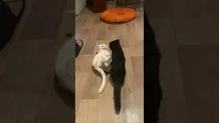 Нападение #4 атака луча