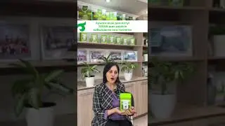 Ауызға ащы дәм келуі өт толғаннан болады, Жусан шөп дәрісі бұл мәселенің шешімі🌿