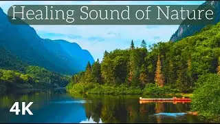 Healing Serenity: Lake District 4K Nature Sounds Meditation
