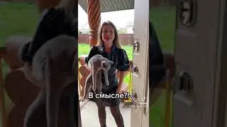 #2023
