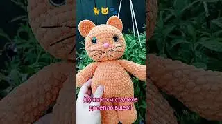 🐱🫶🏻❤️ #diy #tiktokvideo #toys #іграшки #crochet #shots #shortvideo #video #cat #pets #instagram