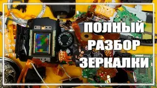 How does a DSLR work? A full breakdown of a DSLR camera with comments